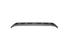 Load image into Gallery viewer, Rugged Ridge Lightshield Hood Guard 11350.31