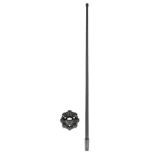 Load image into Gallery viewer, Rugged Ridge Antenna 17212.43