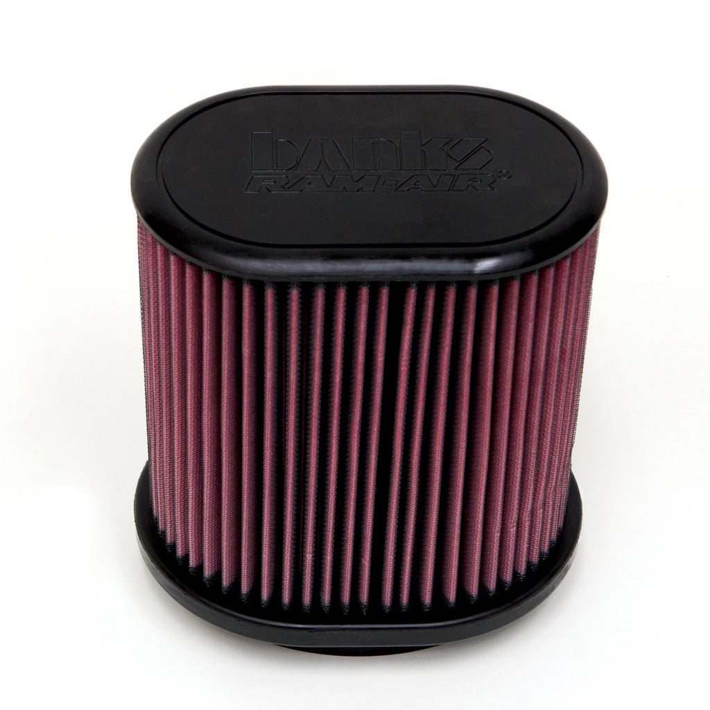 Banks Power Banks Ram-Air® Intake System 41843