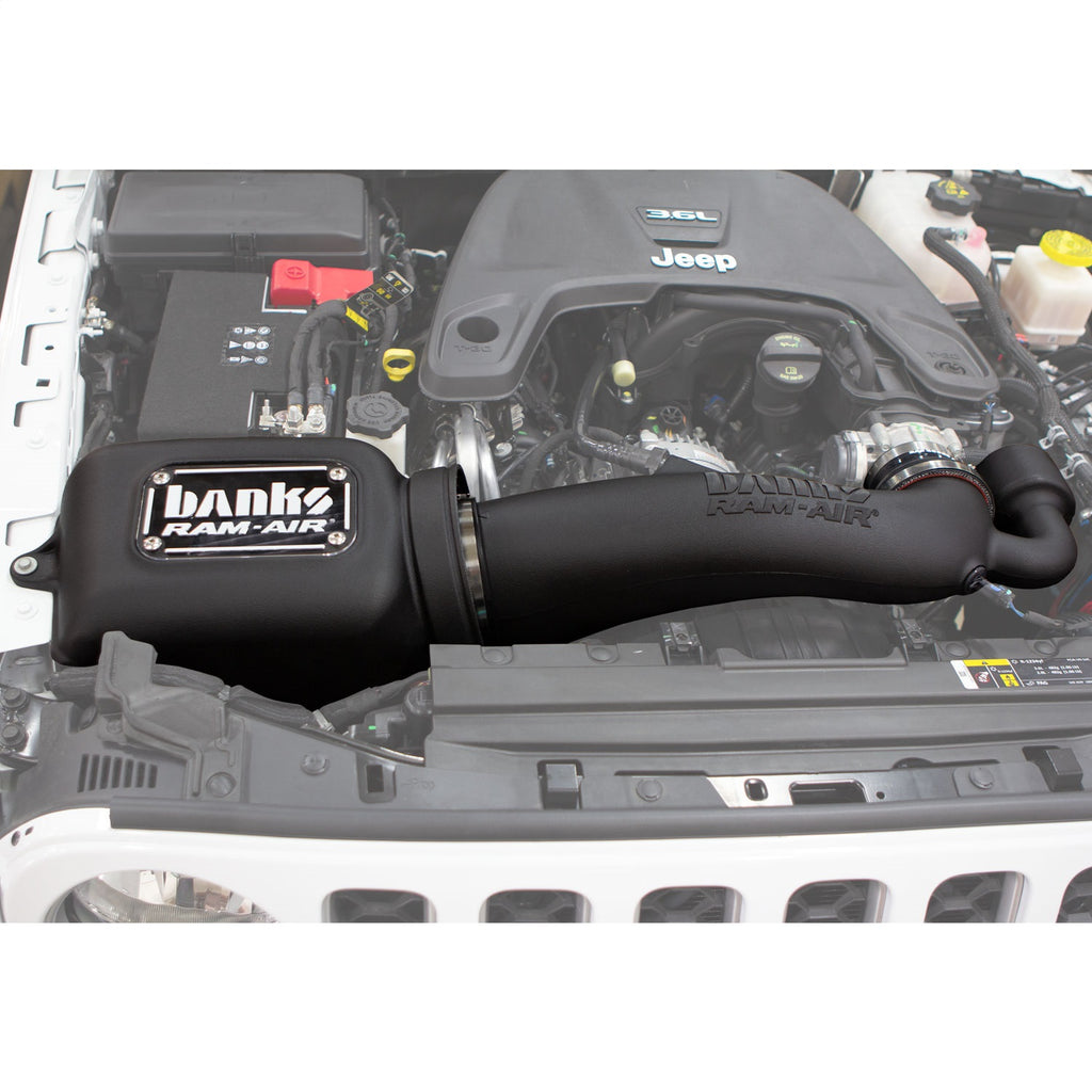 Banks Power Banks Ram-Air® Intake System 41843-D