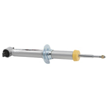 Load image into Gallery viewer, BELLTECH 27007 TP LIFT STRUT Ford F-150 2WD/4WD 3-3.5in. Lift