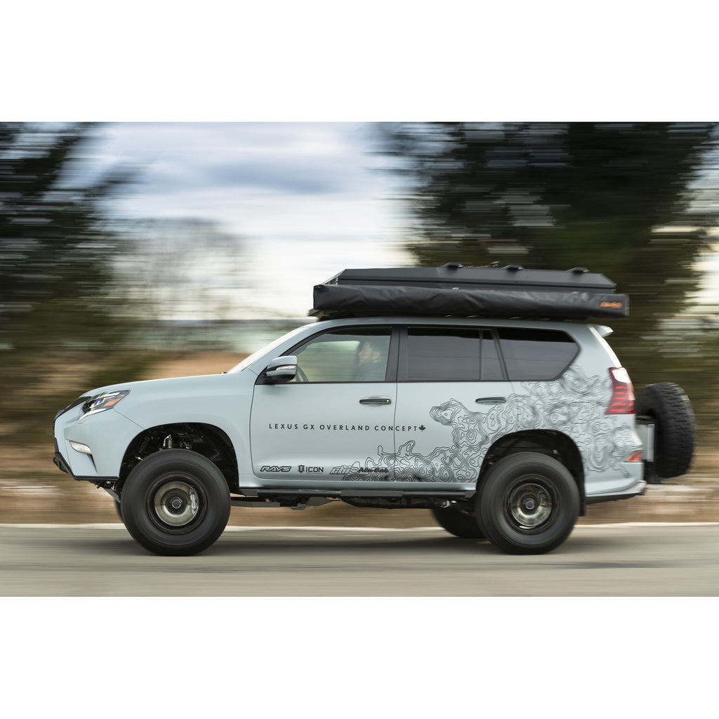 10-UP GX460 0-3.5 STAGE 2 SUSPENSION SYSTEM W TUBULAR UCA