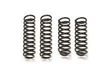 Load image into Gallery viewer, Fabtech Coil Spring Kit FTS24162